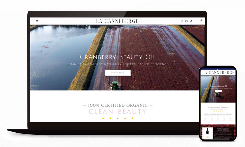 wordpress Skincare & Beauty Products Ecommerce Website Design in Edmonds, Mukilteo